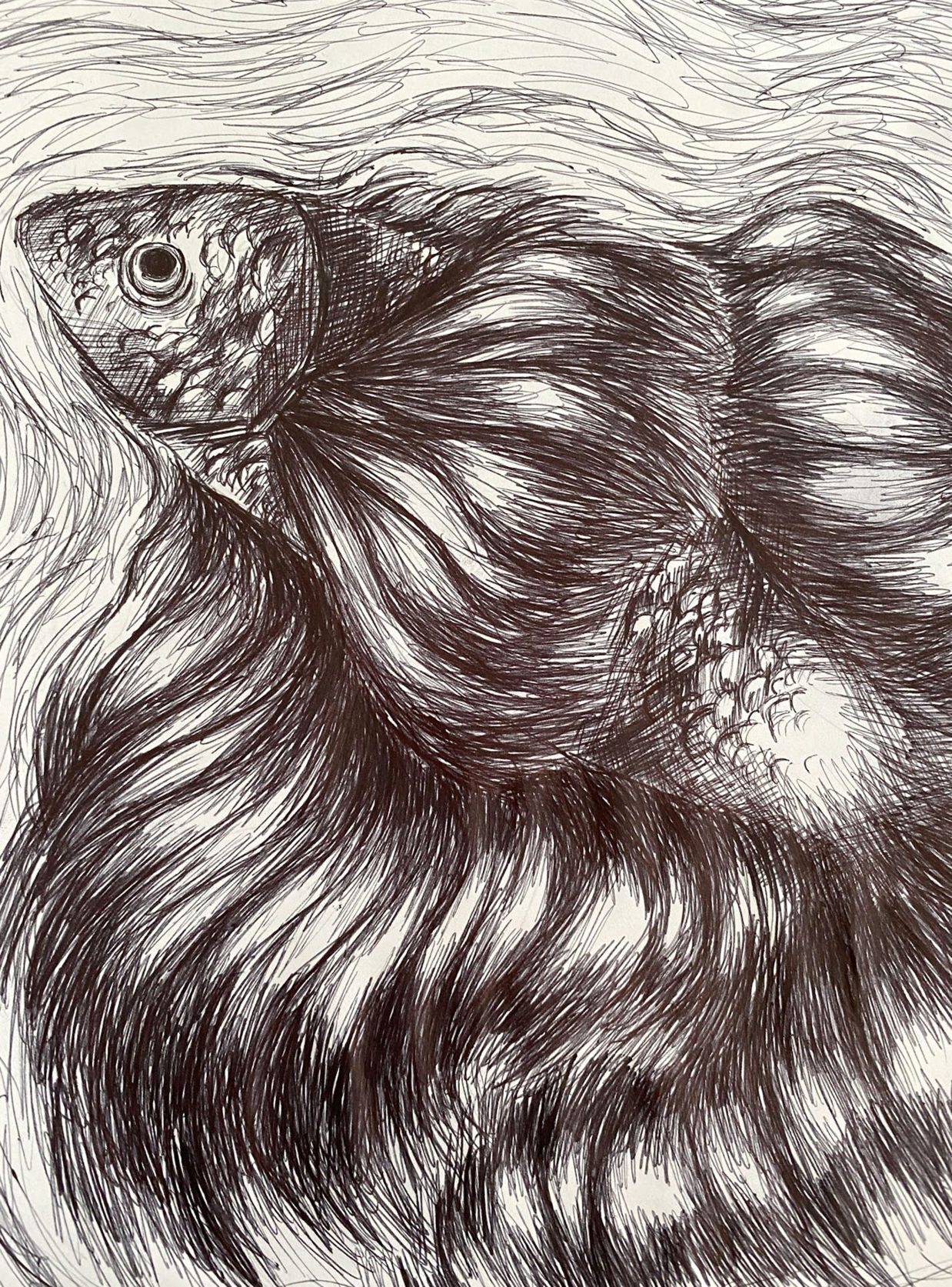 Trauma Fish